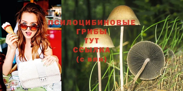 прущие крисы Арсеньев
