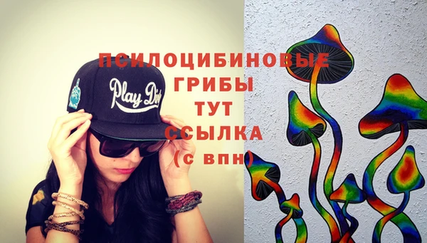 прущие крисы Арсеньев