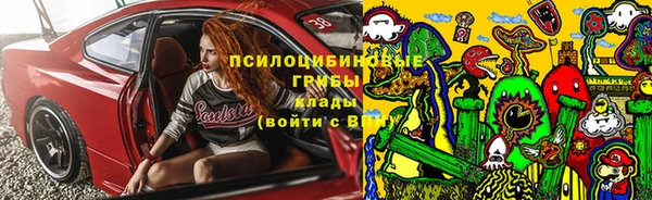 прущие крисы Арсеньев