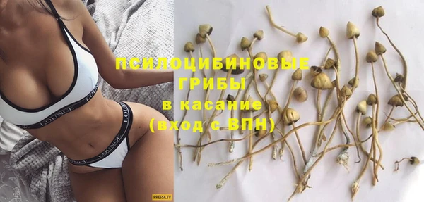 прущие крисы Арсеньев