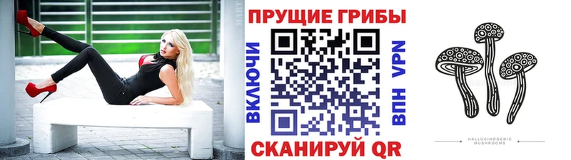 Галлюциногенные грибы Psilocybine cubensis  Ахтубинск 
